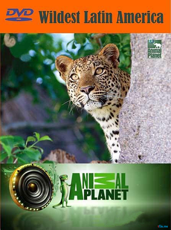 В дебрях Латинской Америки / Wildest Latin America VO