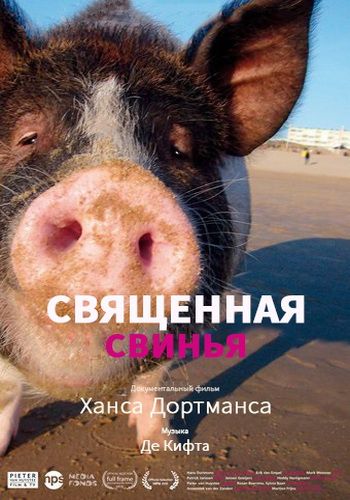 Священная свинья / Divine Pig DVO