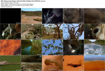 BBC: Дикая Австралазия / BBC: Wild Australasia