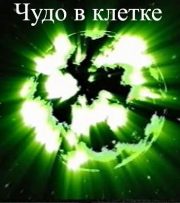 Чудо в клетке