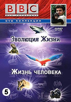 BBC. Эволюция Жизни: Жизнь человека / BBC. Journey Of Life: Human Life