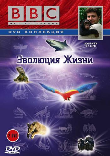 BBC: Эволюция жизни (часть 1: летающие в небе) / BBC: Journey of life / BBC: Journey of life