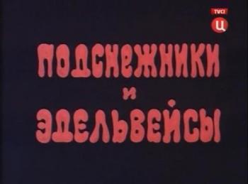 Подснежники и эдельвейсы