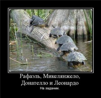 Демотиваторы