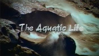 Водная жизнь / The Aquatic Life