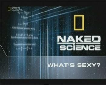 С точки зрения науки: Секс / What's Sexy?