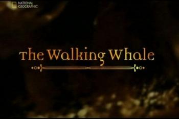 Пути Эволюции: Сухопутные Киты / Evolutions: The Walking Whale