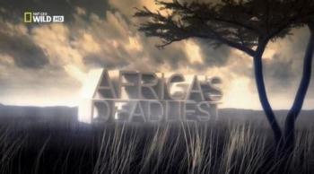Хищники Африки (1-3 серии из 3) / NAT GEO WILD. Africa s Deadliest DUB