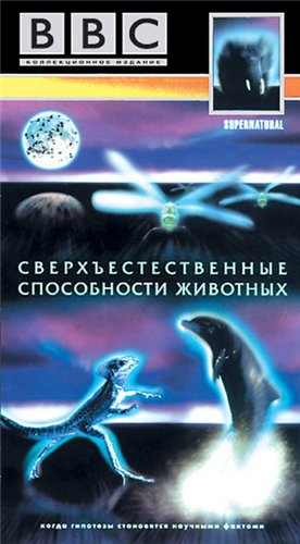 BBC: Сверхъестественные способности животных. Кошки / BBC: Supernatural. The Unseen Powers Of Animals - Cats