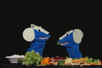 Ребенок Эйнштейн: Животные рядом с нами / Baby Einstein: Neighborhood Animals