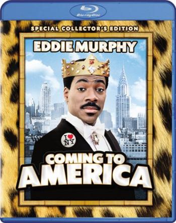 Поездка в Америку / Coming To America 4xMVO + 2xDVO+ 3xAVO