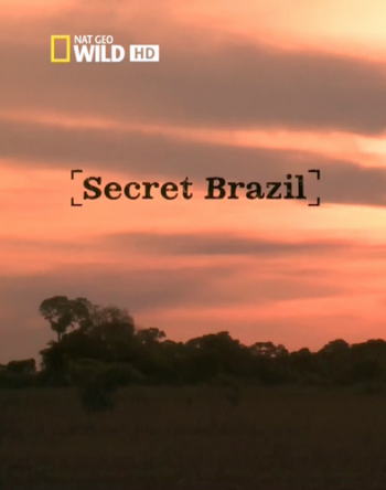 Неизвестная Бразилия (1-3 серии из 3) / National Geographic. Secret Brazil DUB