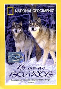 В стае волков / National Geographic. Wolf Pack VO