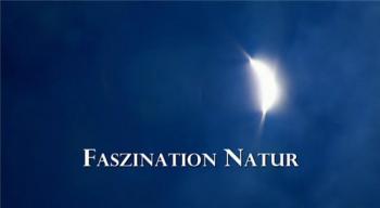 Очарование природы: Семь сезонов / Faszination Natur:Seven seasons