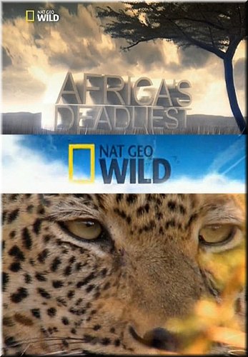 Хищники Африки: Идеальные убийцы / Africa's Deadliest: Killer Tactics VO