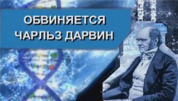 Обвиняется Чарльз Дарвин