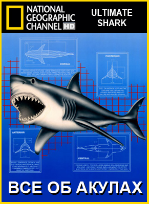 Всё об акулах / Ultimate Shark