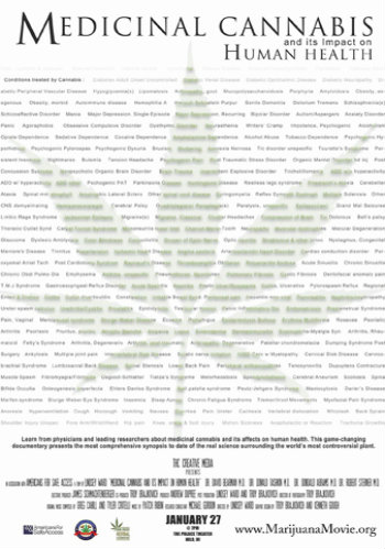 Марихуана и ее воздействие на здоровье / Medicinal Cannabis and its Impact on Human Health SUB