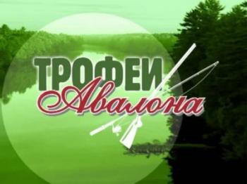 Трофеи Авалона. Волжская уха. Копчение, балыкование