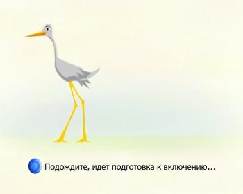 ДиВиДи Мэджик (3-12 мес.)