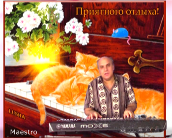 Maestro - В моём счастье