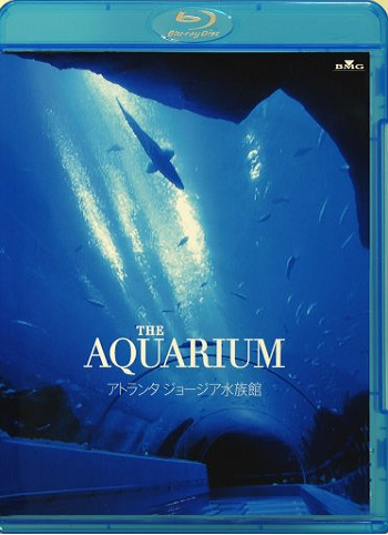 Аквариум / The Aquarium: Atlanta Georgia Aquarium
