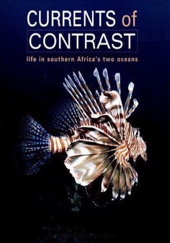 Контрастные океаны / Oceans of Contrast DUB