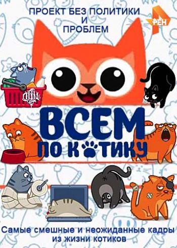 Всем по котику (31-35 части)