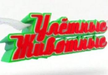 Улетные животные / Выпуски 29 - 37