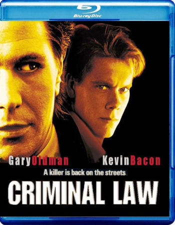 Адвокат для убийцы / Criminal Law 2xMVO+DVO