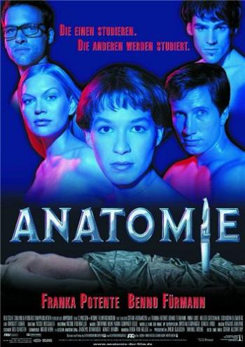 Анатомия / Anatomie MVO+AVO