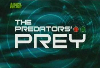 Добыча Хищника (1-13 серии из 13) / BBC. The Predator's Prey VO