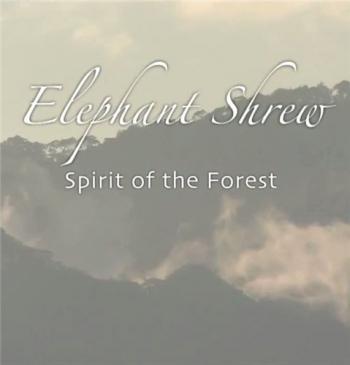 Прыгунчики лесные эльфы / Elephant Shrew - Spirit of the Forest VO