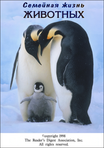 Семейная жизнь животных (3 серии из 3) / Family life of animals VO