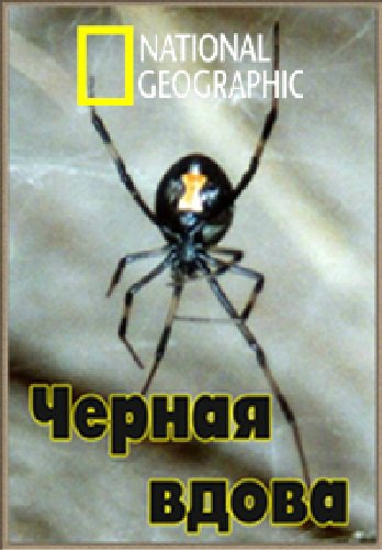 Черная вдова / National Geographic. Bite Of The Black Widow DVO