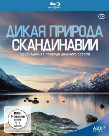 Дикая природа Скандинавии / Wild Scandinavia AVO+DEU
