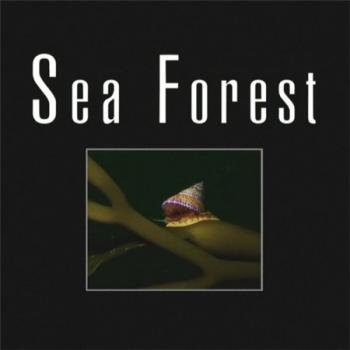 Морской лес / Sea Forest