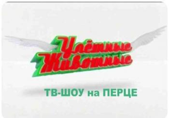 Улетные животные / Эфир (13.12.2012)