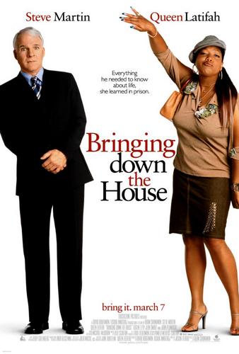 Дом вверх дном / Bringing Down the House MVO