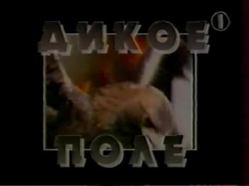 Дикое поле (11 выпусков из 11)
