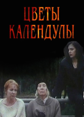 Цветы календулы