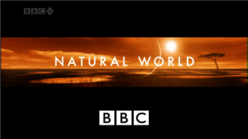 Естественный мир - Водопад Игуасу / BBC. Natural World - The Falls Of Iguacu VO