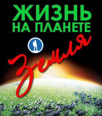 Жизнь на планете Земля / Земноводные и рептилии / Life on Earth