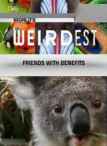 National Geographic. Самые странные в мире: Секс по дружбе / World's Weirdest: Friends With Benefits VO