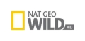 National Geographic. Лесное царство / Kingdom of the Forest VO
