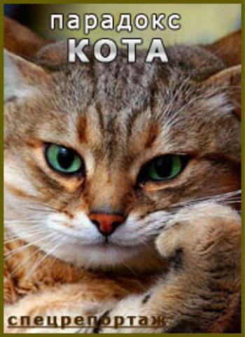 Парадокс кота