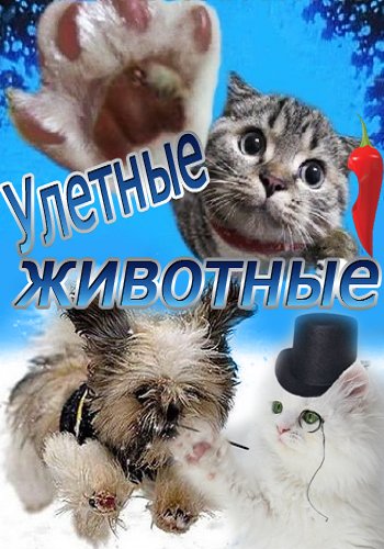 Улетные животные / Выпуски 47 - 52