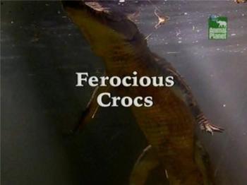 Беспощадные африканские крокодилы / Animal Planet. Ferocious Crocs VO