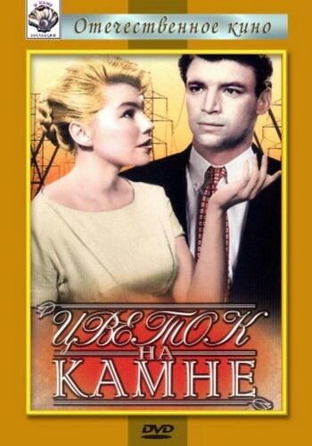 Цветок на камне