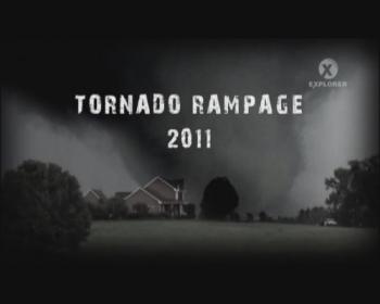 Неистовый торнадо 2011 / Tornado Rampage 2011 VO